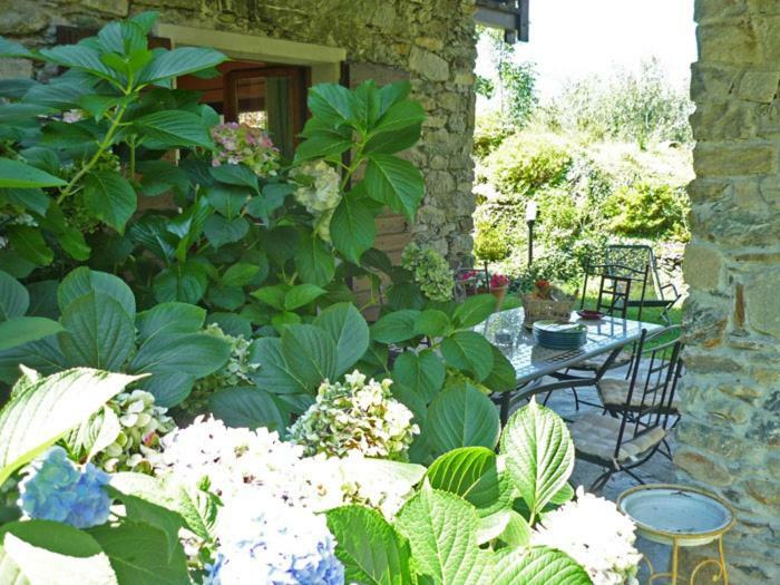 Villa Erica Con Piscina Privata Sul Lago Di Como 콜리코 외부 사진